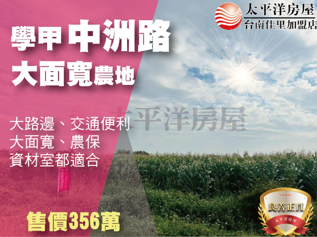 學甲中洲路大面寬農地,台南市學甲區西進段