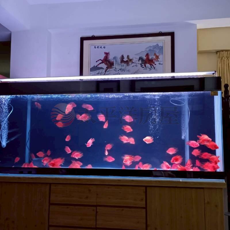 興南新城工業宅,台南市佳里區成功路