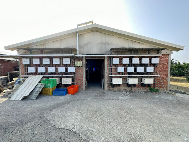 寮廍里合法豬舍+柚子園,台南市麻豆區寮子廍５之１