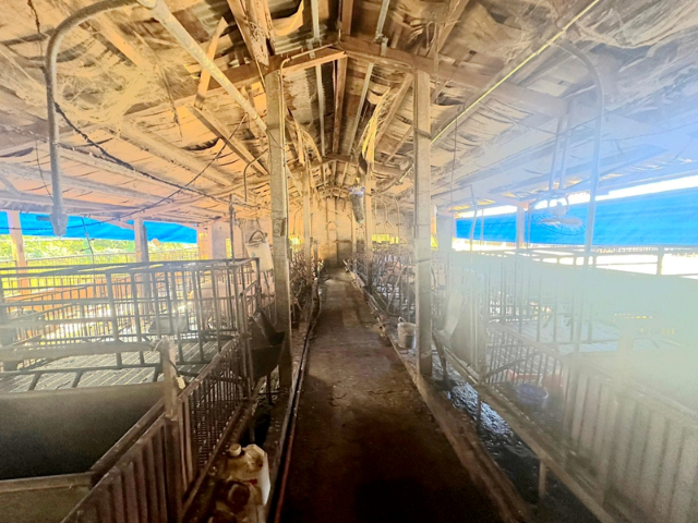 寮廍里合法豬舍+柚子園,台南市麻豆區寮子廍５之１