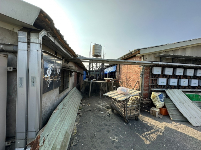 寮廍里合法豬舍+柚子園,台南市麻豆區寮子廍５之１