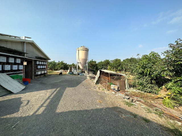 寮廍里合法豬舍+柚子園,台南市麻豆區寮子廍５之１