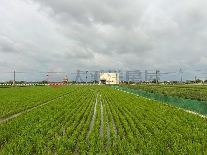 西港近後營雙面路農地,台南市西港區金砂段