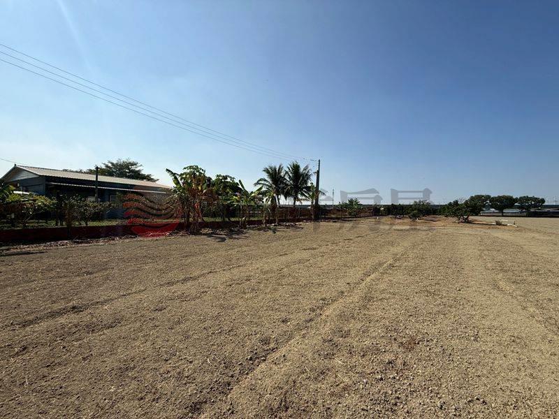 阿蓮近高鐵沙崙站農地,高雄市阿蓮區石案潭段