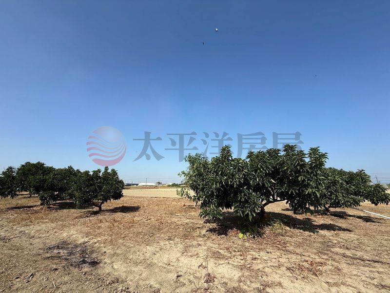 阿蓮近高鐵沙崙站農地,高雄市阿蓮區石案潭段