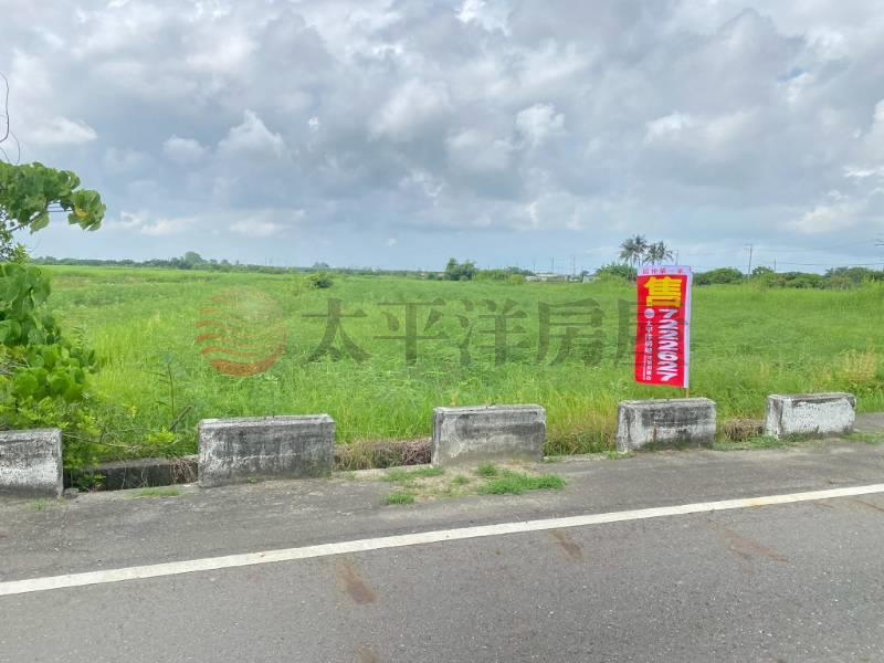 七股竹橋國小大路邊農地,台南市七股區竹橋段