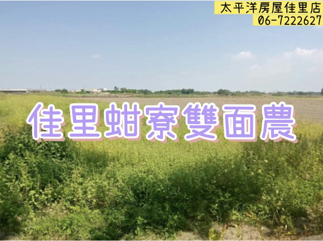 佳里蚶寮雙面農,台南市佳里區龍安段