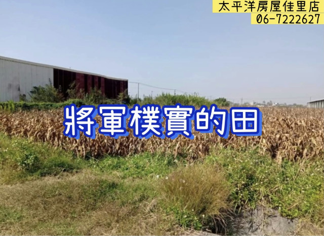 將軍純樸的田,台南市將軍區漚汪段