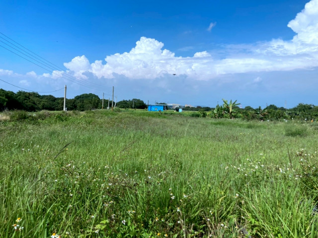 新市大面寬一般農,台南市新市區月潭段