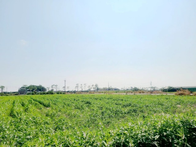佳里優質2分2田,台南市佳里區龍安段