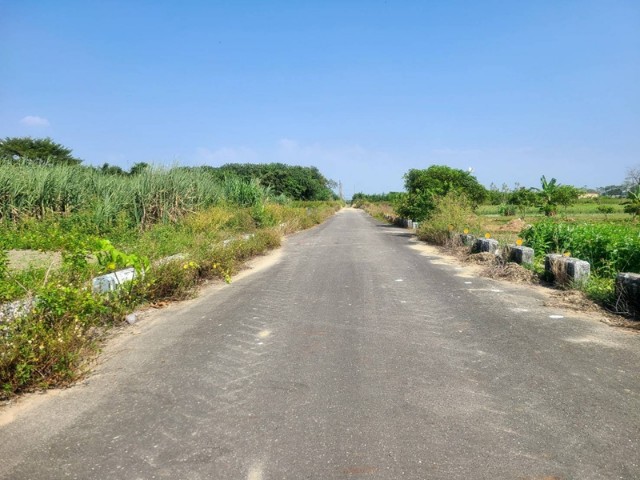 佳里優質2分2田,台南市佳里區龍安段