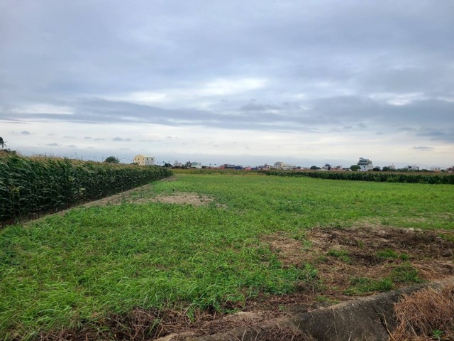 佳里營頂6分田,台南市佳里區營頂段