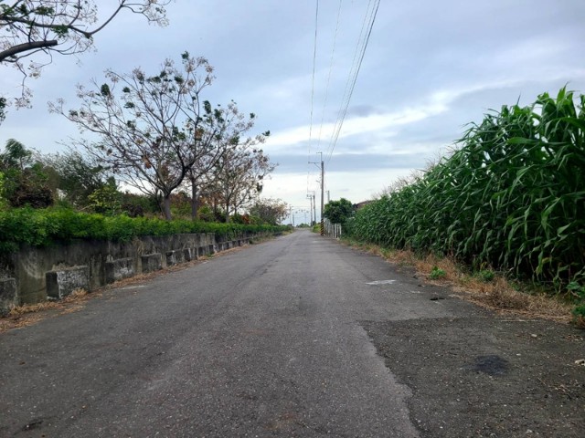 佳里營頂6分田,台南市佳里區營頂段