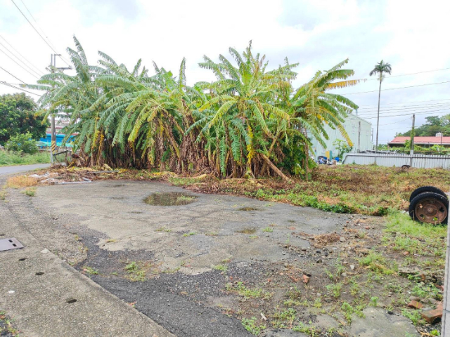 佳里豪美建地,台南市佳里區延平段