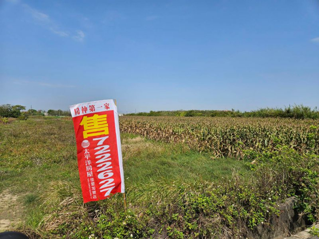 近營頂社區的1分8農田,台南市佳里區禮化段