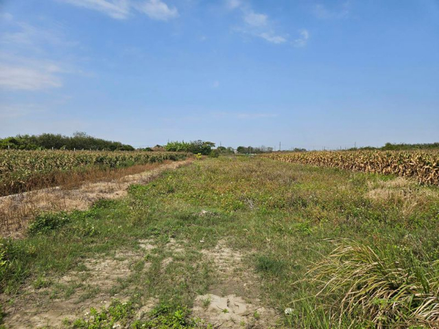 近營頂社區的1分8農田,台南市佳里區禮化段