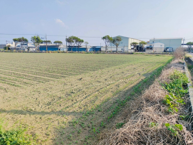 鹽水近文昌國小1分6,台南市鹽水區孫厝寮段