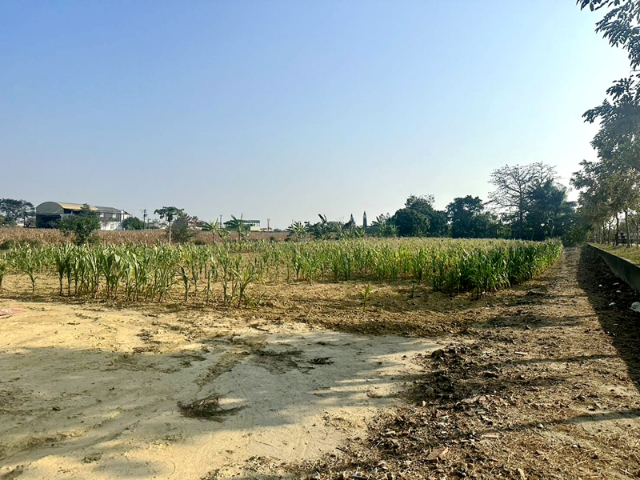 西港綠川廊道旁農地,台南市西港區港東段