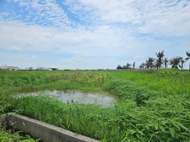 近將軍溪步道的1分3農地,台南市將軍區巷口段