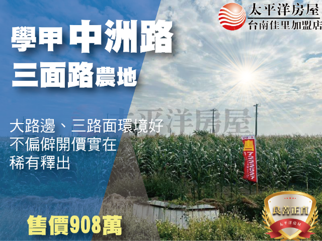 學甲中洲路三面路農地,台南市學甲區西進段