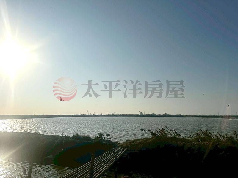 七股台17旁持分漁塭,台南市七股區頂山寮段