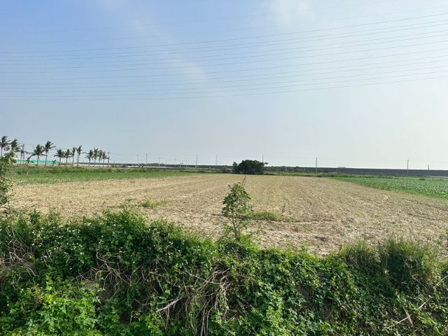 學甲區優質一般農(2),台南市學甲區平東段