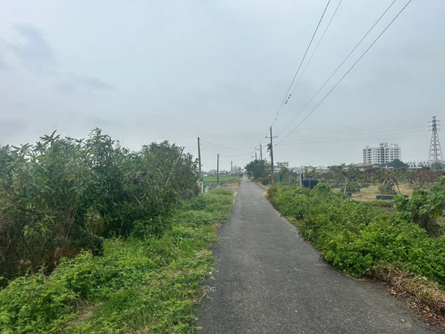 佳里興庄邊2分5農地,台南市佳里區佳化段