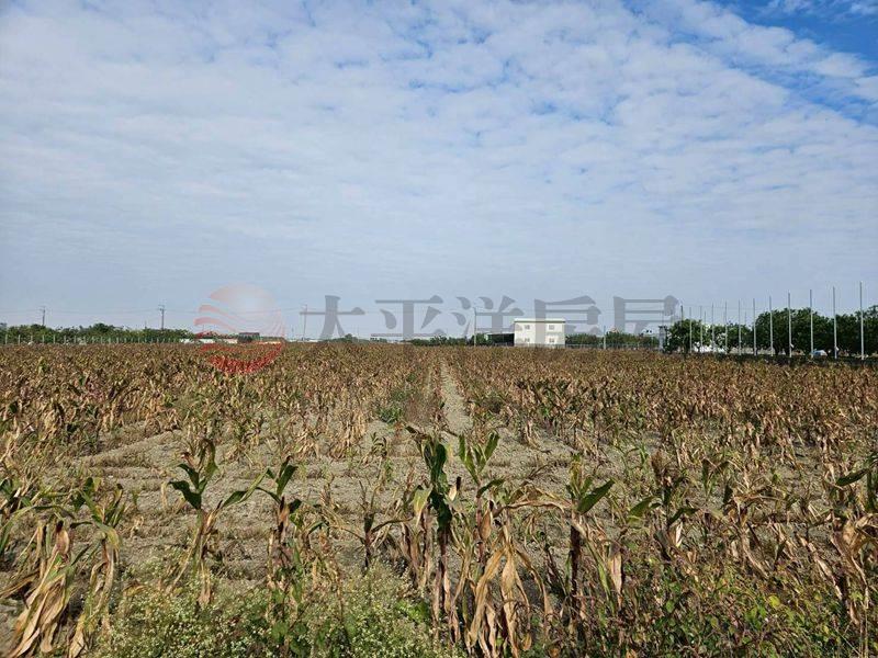 麻豆3分2都計農,台南市麻豆區埤頭段