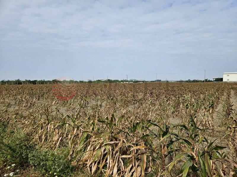 麻豆3分2都計農,台南市麻豆區埤頭段