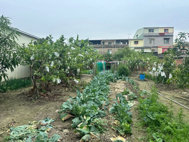 佳里百坪住宅建地,台南市佳里區忠孝南段