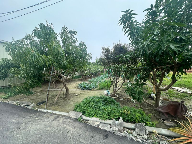 佳里百坪住宅建地,台南市佳里區忠孝南段
