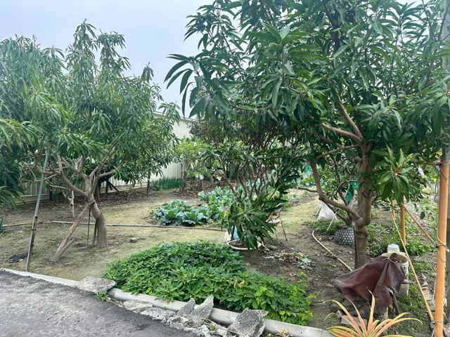 佳里百坪住宅建地,台南市佳里區忠孝南段