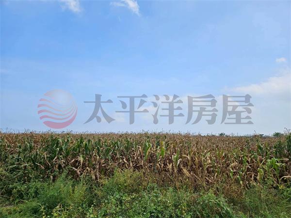 佳里港墘2分2農田,台南市佳里區港墘段