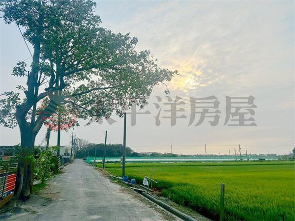 西港後營肥沃田地,台南市西港區後營段