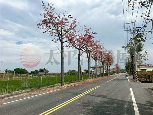 近大潤發優質小農地,台南市佳里區三協段
