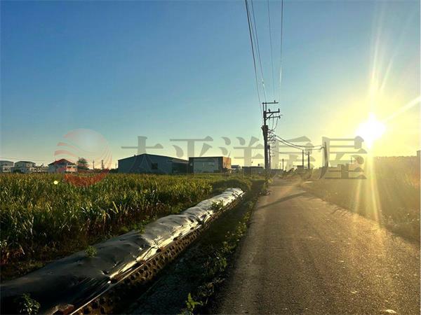 七股村莊旁農地,台南市七股區槺榔段