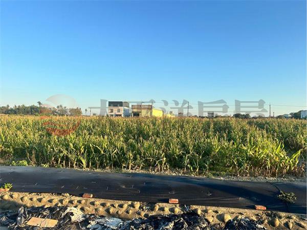 七股村莊旁農地,台南市七股區槺榔段