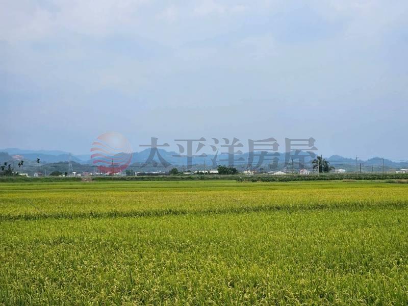 東山吉貝耍雙面路農地,台南市東山區吉貝耍段