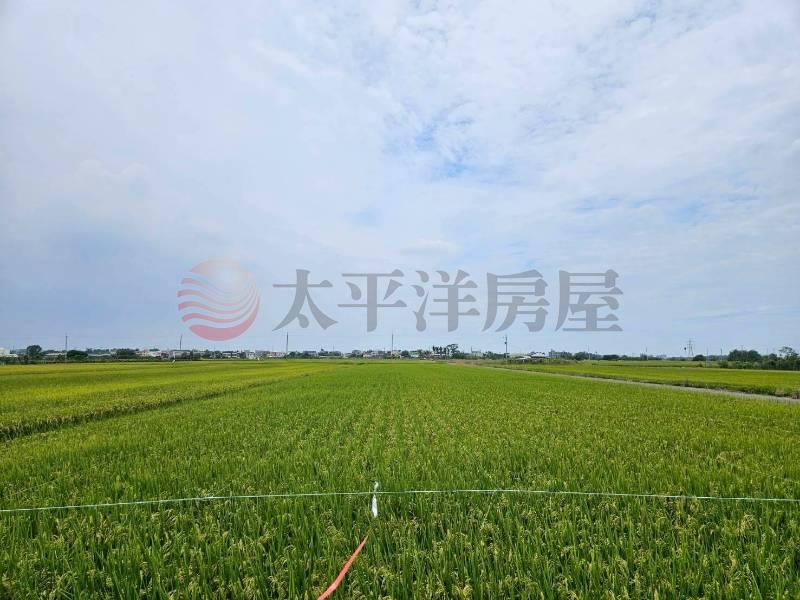 東山吉貝耍雙面路農地,台南市東山區吉貝耍段