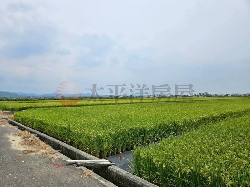 東山風景優美農地,台南市東山區吉貝耍段