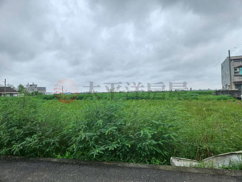 鹽水樂活小農田,台南市鹽水區番子厝段