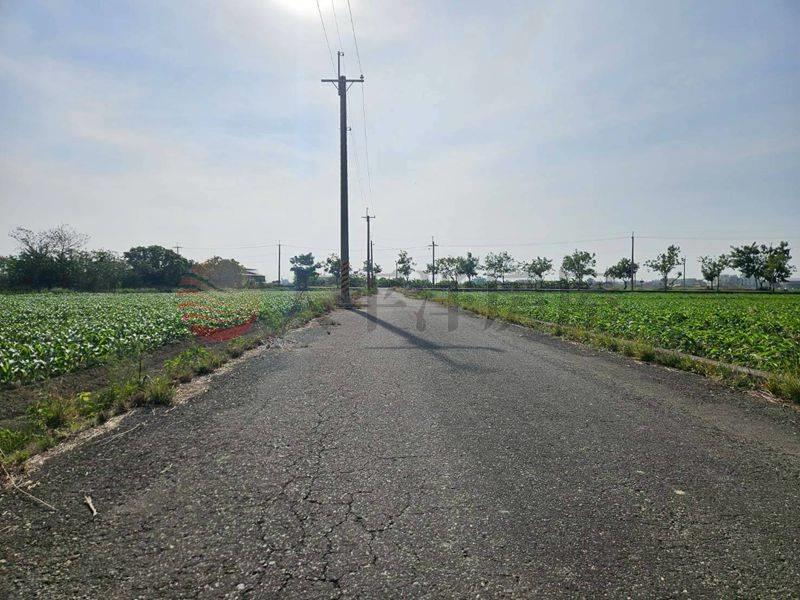 鹽水51米面寬農地,台南市鹽水區番子厝段