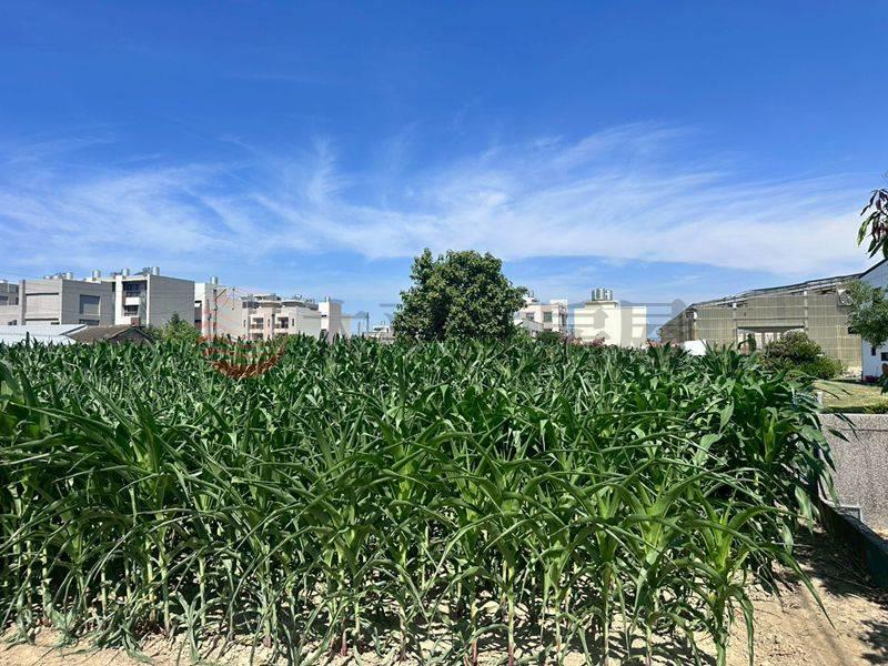 同安寮雙面路農地,台南市佳里區同安寮段