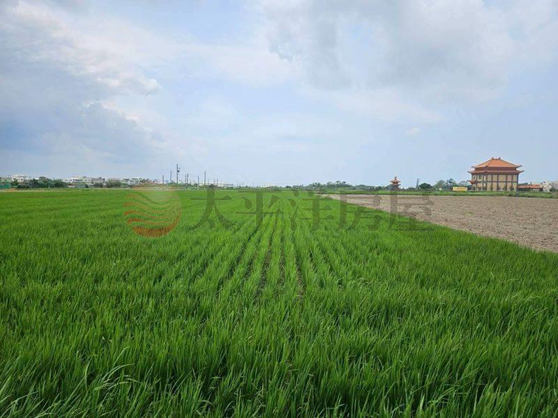 佳里5分農地,台南市佳里區延平段