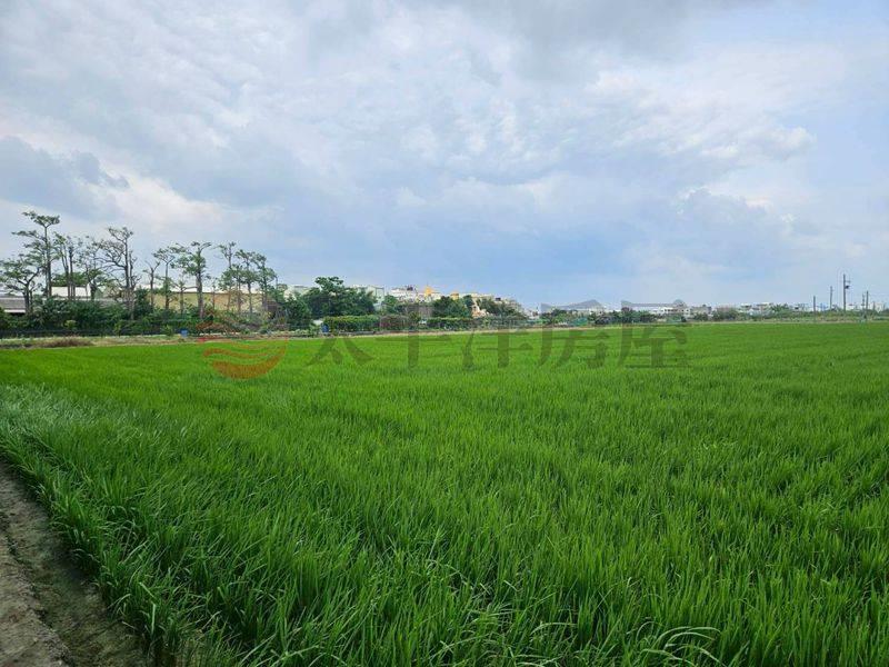 佳里5分農地,台南市佳里區延平段