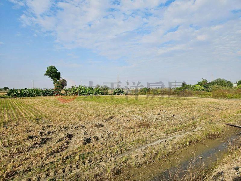 白河低總價農田