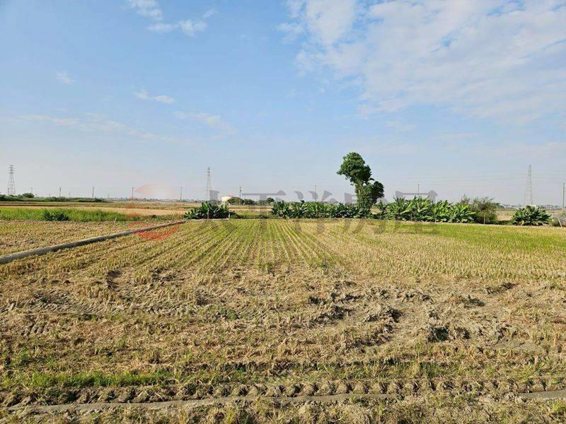 白河低總價農田