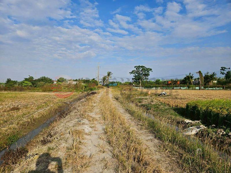 白河低總價農田