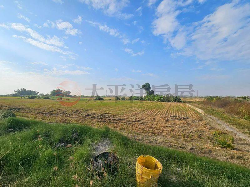 白河低總價農田