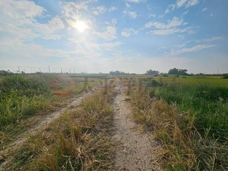 白河低總價農田